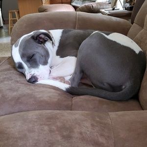 Meet your Posher, Jamie